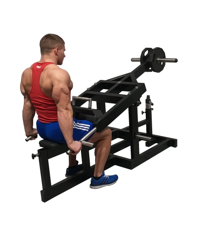 RP Triceps Machine