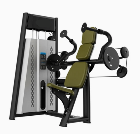 RP Triceps DiP Machine