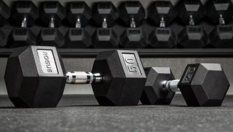 RP Plastic Dumbell